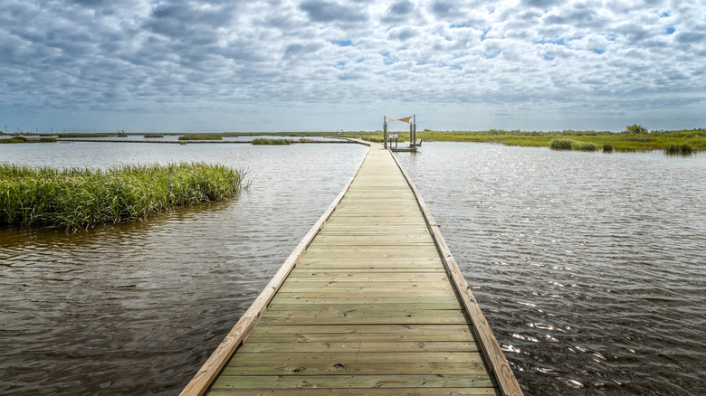 The pier at the Sea Rim State Park in Port Arthur, Texas