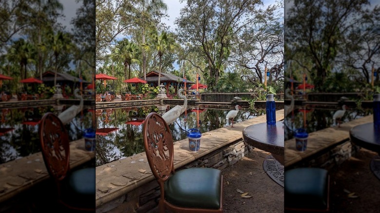 View of Expedition Everest from one of the terraces at Flame Tree Barbecue, Disney's Animal Kingdom