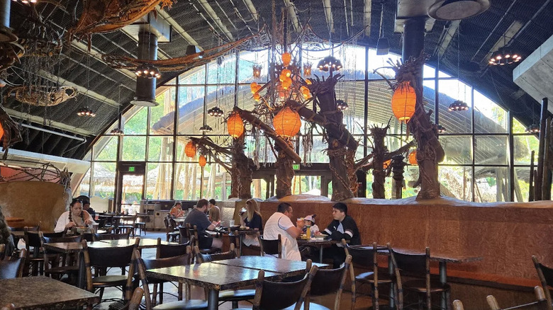 View of indoor seating area at Satu'li Canteen with large windows and Pandora theming at Disney's Animal Kingdom