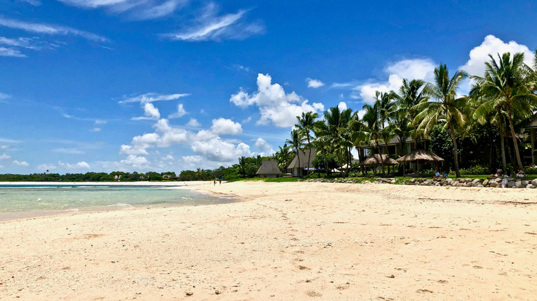 Natadola Beach and palm trees