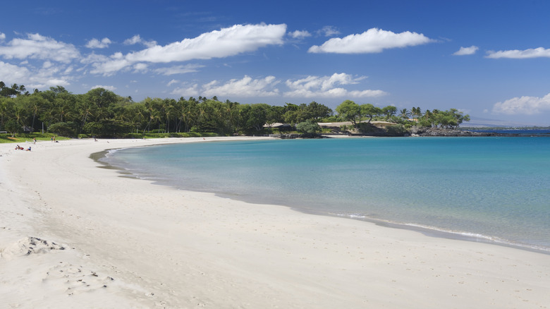 Mauna Kea Beach, otherwise known as Kauna'oa Beach, Big Island, Hawaii.
