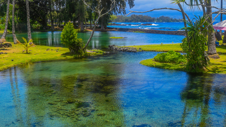 Richardson Ocean Park, located on the east coast of Big Island.