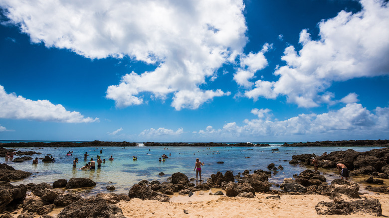 The popular snorkling location of Shark's Cove is on Hawaii's North Shore.