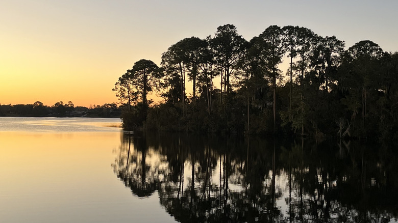 Sunrise over a beautiful serene lake in Deltona, Florida with trees silhouetted and reflecting on the water