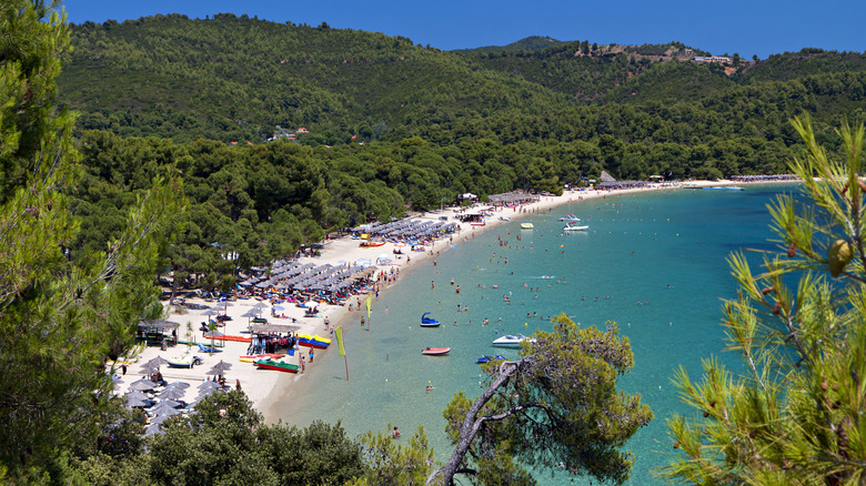 Koukounaries beach on Skiathos island, Greece.