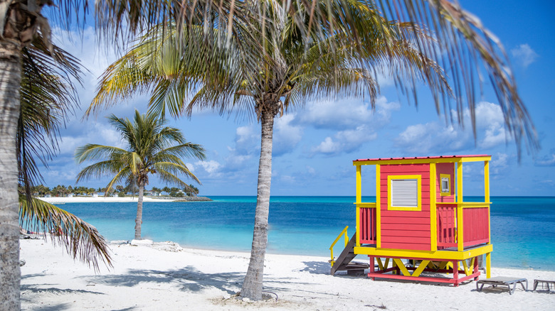 A beach on Ocean Cay Island ,Bahamas
