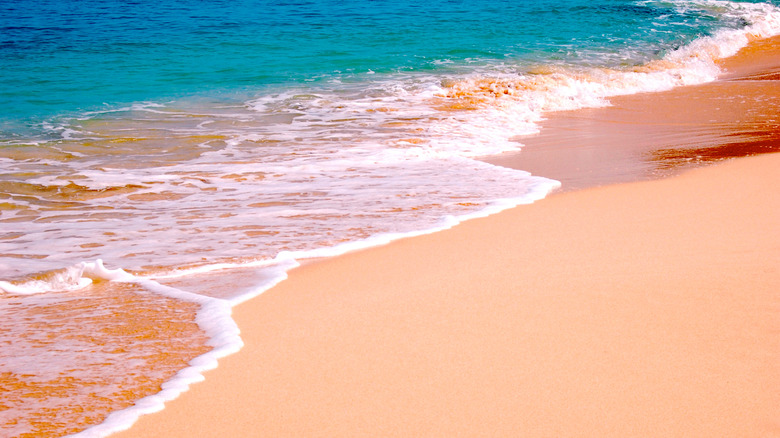 Bahamas' famous Pink Sand Beach