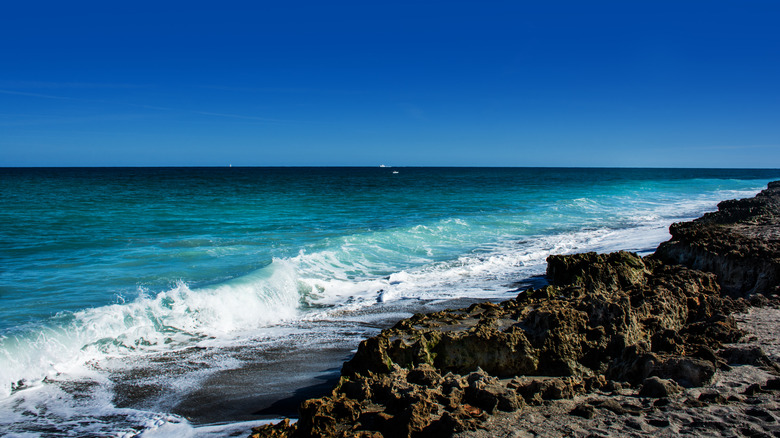 Jupiter Island rocks by ocean