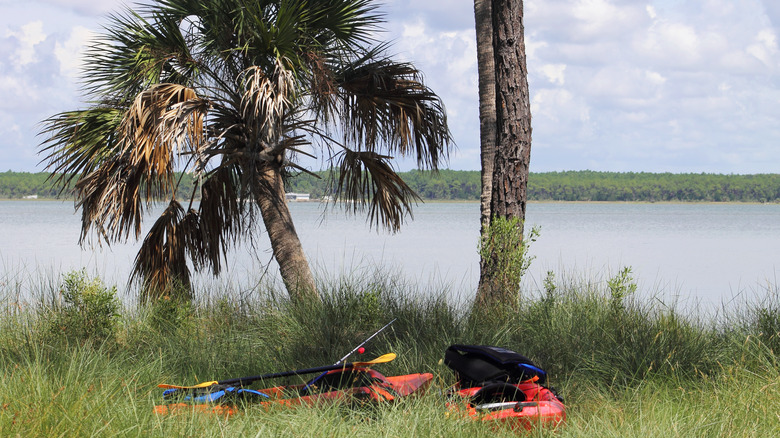 kayas and trees on St. Vincent Island