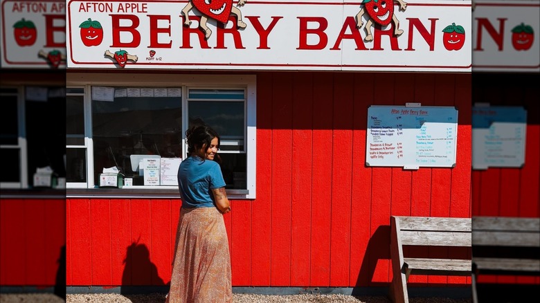 Berry Barn at Afton Apple