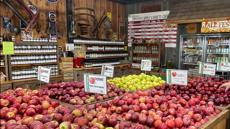 Apples and jams in the shop at Burnham Orchards