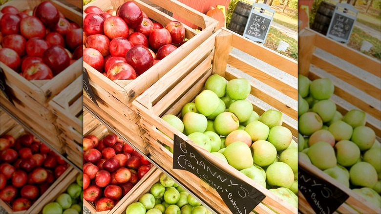 Boxes of red and green apples at Hickory Ridge Orchard