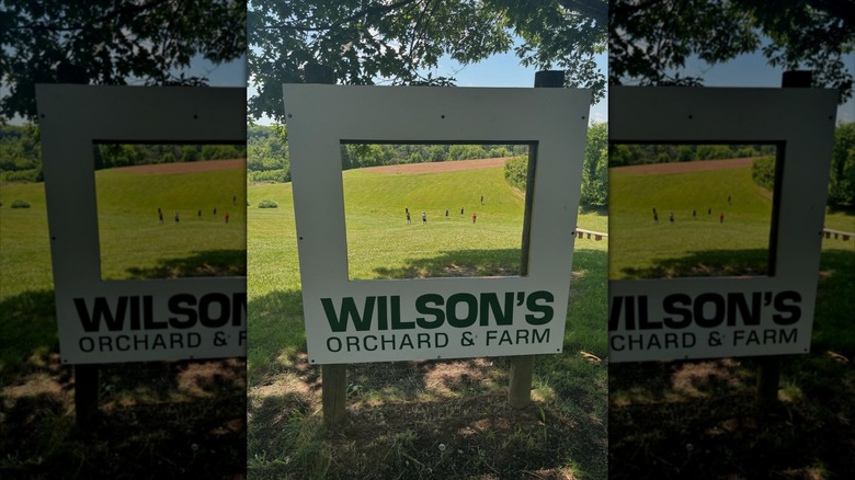Photo frame at an orchard in Iowa