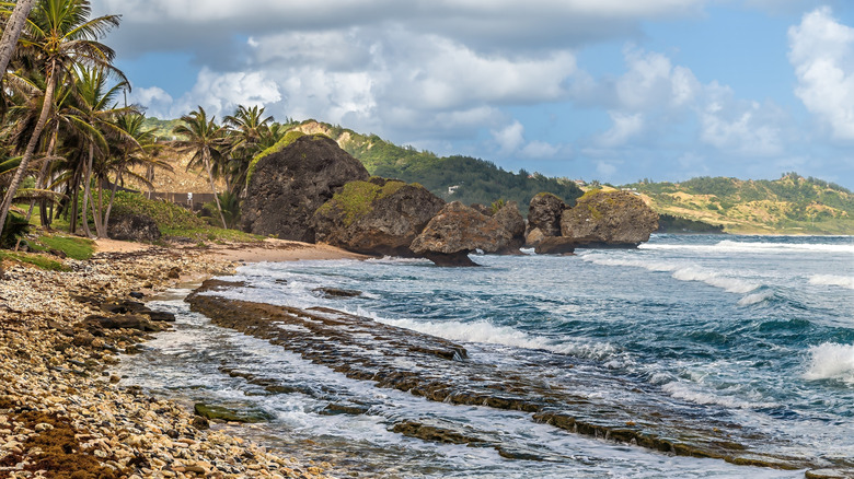 East coast beach in Eastern Barbados