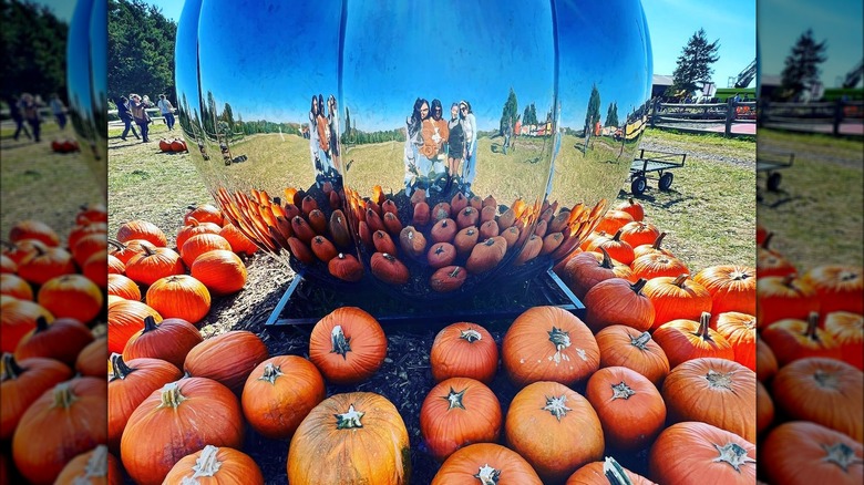 Pumpkins set around a pumpkin mirror