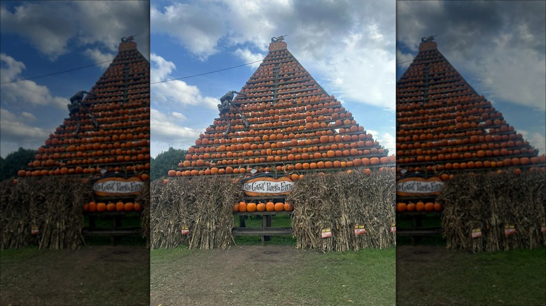 Huge pumpkin tower in Clarence, New York