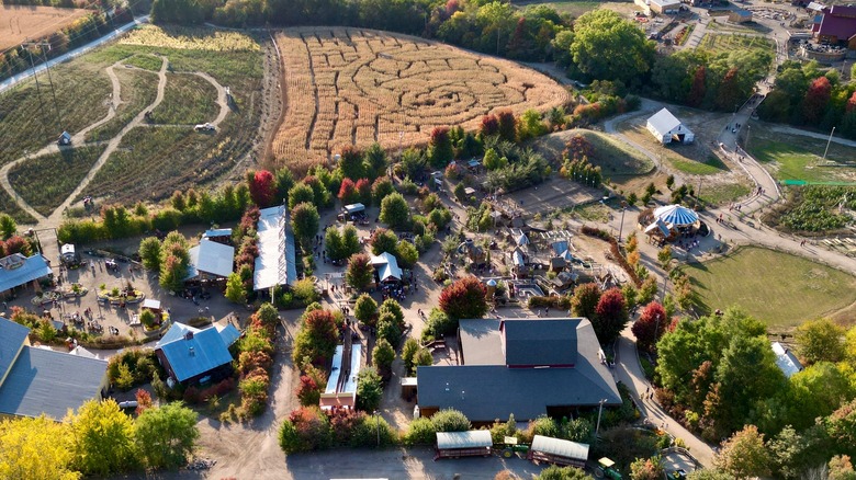 Aerial view of Vala's Pumpkin Patch in Gretna, NE with view of corn maze, pumpkin patch, and festival buildings