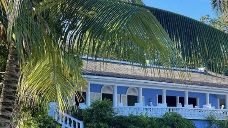 Close-up view of Jamaica Inn blue and white building with palm fronds in the foreground