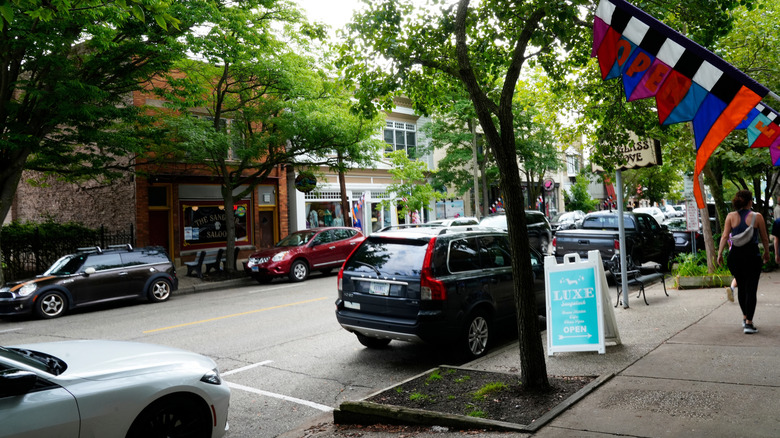 Shops and galleries in downtown Saugatuck, Michigan