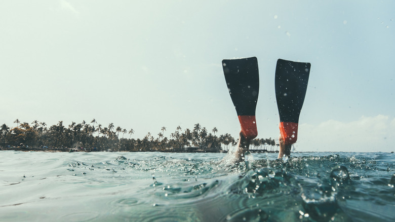 a pair of flippers above the water as a person dives down