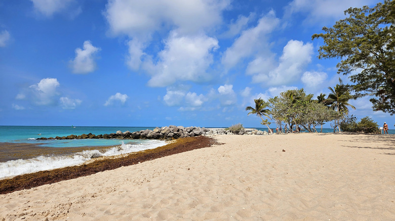 The beach at Fort Zachary Taylor State Park