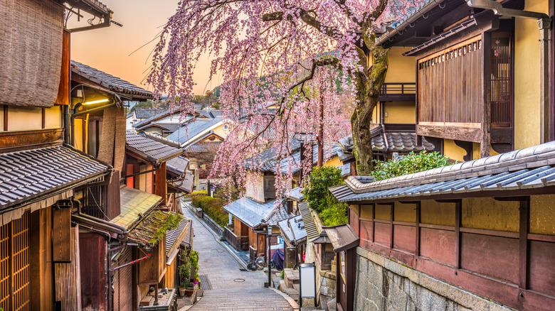A narrow walkway cuts through old Japanese-style architecture with a blossoming cherry blossom tree growing over the walkway