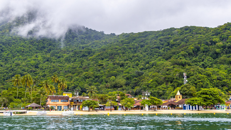 A beach with dense jungle covering the hillside just behind a small beachside town