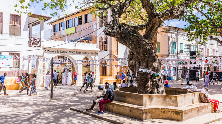 The entrance to Lamu Old Town with a large old tree at the center of a pavilion and an arch with "Welcome to Lamu, a UNESCO World Heritage Site" written on it