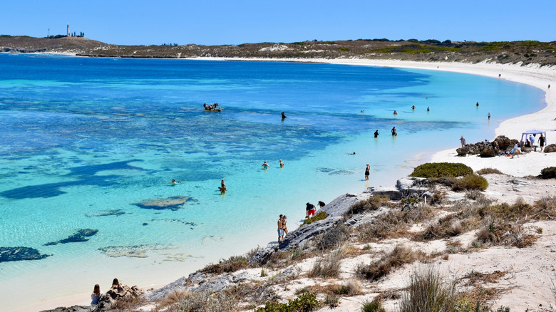 A large, white-sand beach with people scattered throughout the clear blue water; scrubby foliage blankets the landscape in the background
