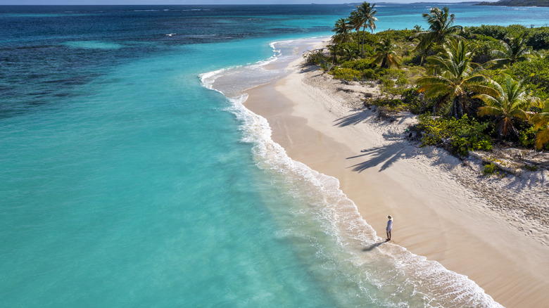 Aerial view a woman gazing out over the ocean along a beach on the island of Anguilla.