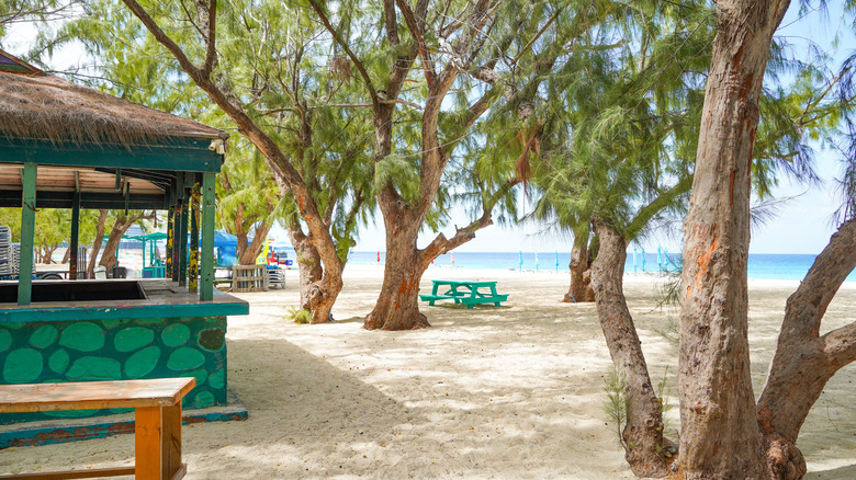 A peaceful beach scene on the Grand Turk Island.
