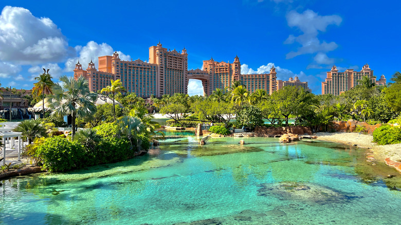 View of iconic pink towers with palm trees