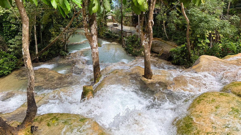 View of rushing water and trees at Dunn's River Falls