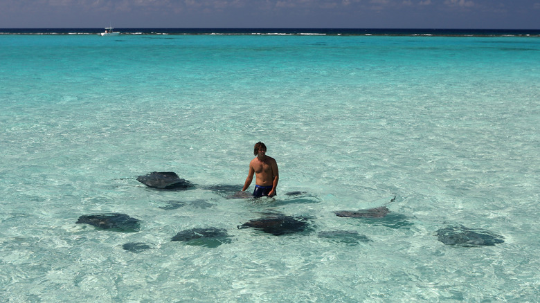 Young man in the water surrounded by sting rays