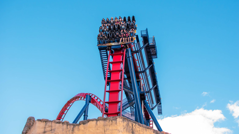People having fun riding the Sheikra rollercoaster at Busch Gardens Tampa