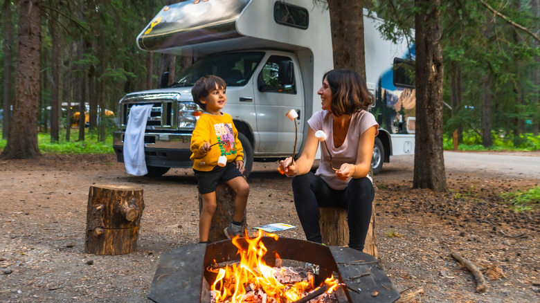 Mother and son are roasting marshmallows over a campfire next to their camper van, enjoying a camping trip