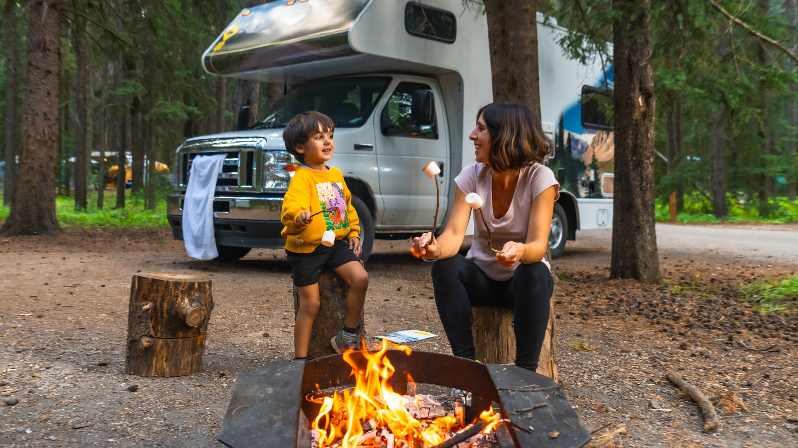10 Costco Items You Need To Perfectly Organize Your RV