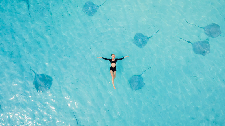 Woman swimming in the sea with stingrays in the Maldives