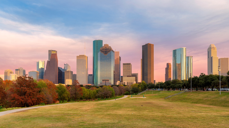 An image of downtown Houston