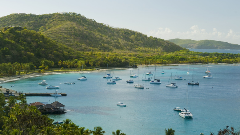 mustique island bay