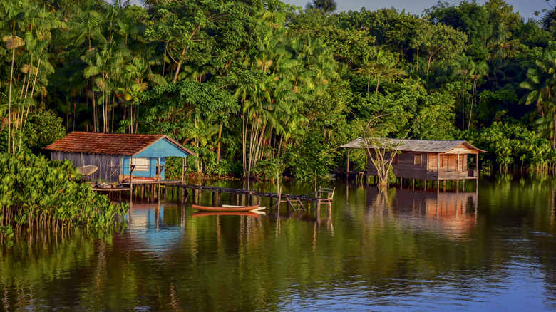 Traditional wooden houses on stilts along the Amazon river banks in Brazil, surrounded by lush green rainforest jungle
