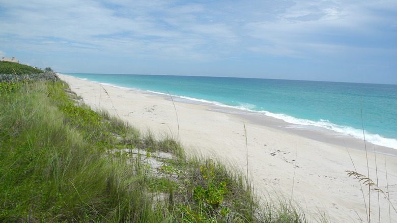 View of beach and water at Archie Carr National Wildlife Refuge
