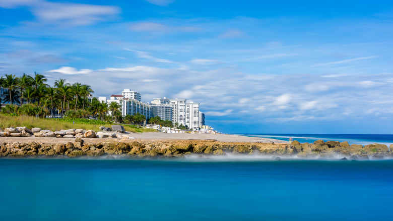 Stretch of beach in Boca Raton on a sunny day with palm trees and hotels in background