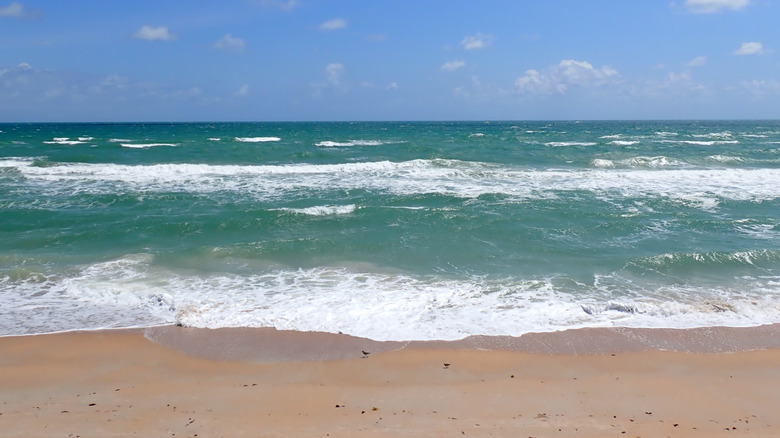Beach view of Canaveral National Seashore in April 2026