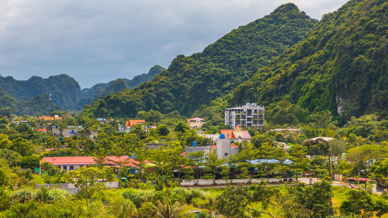Residential buildings nestled in a lush green valley, surrounded by tropical forest and dramatic limestone karst mountains in Cat Ba, Vietnam.