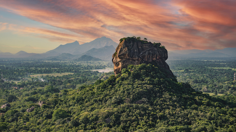 Spectacular view of the Lion rock surrounded by green rich vegetation.