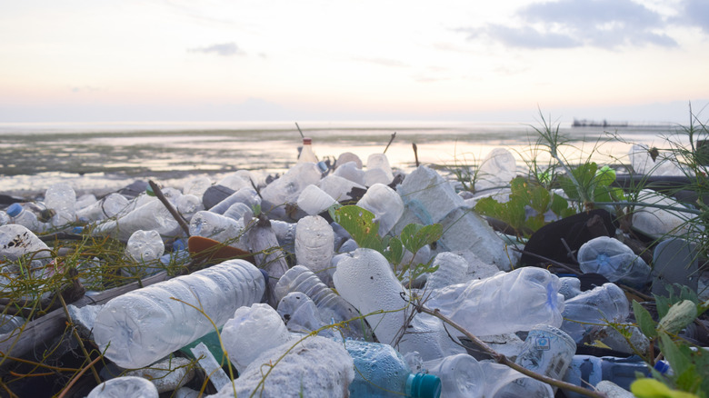 Close up of plastic bottles and trash piled on a beach in Indonesia