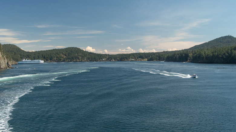 View of the Salish Sea, British Columbia, where dozens of severed feet have washed onshore since 2007