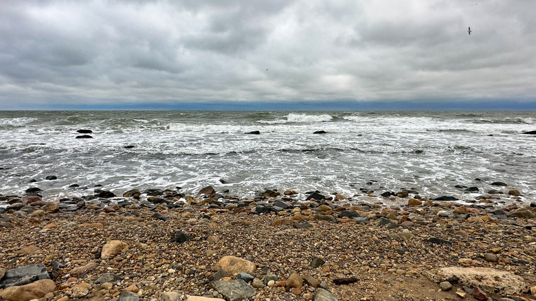 Close up of a rocky beach in Montauk, New York on an overcast day
