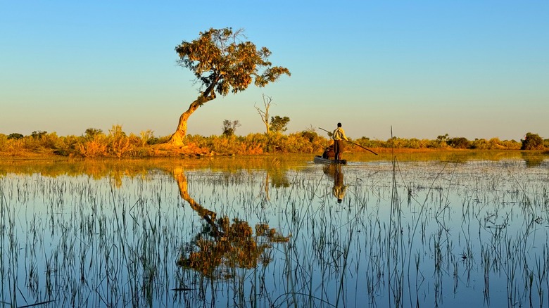 Man rowing a traditional boat reflected in the clear water of the Okavango Delta during wet season